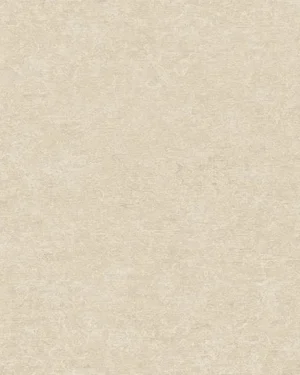 A65603