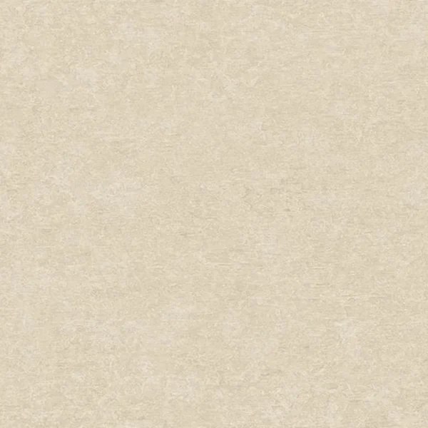 A65603