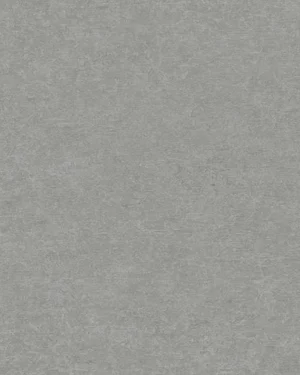 A65606